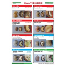 INADES/ RONGEAD's RCN Quality Alert Poster (2007) - French only.